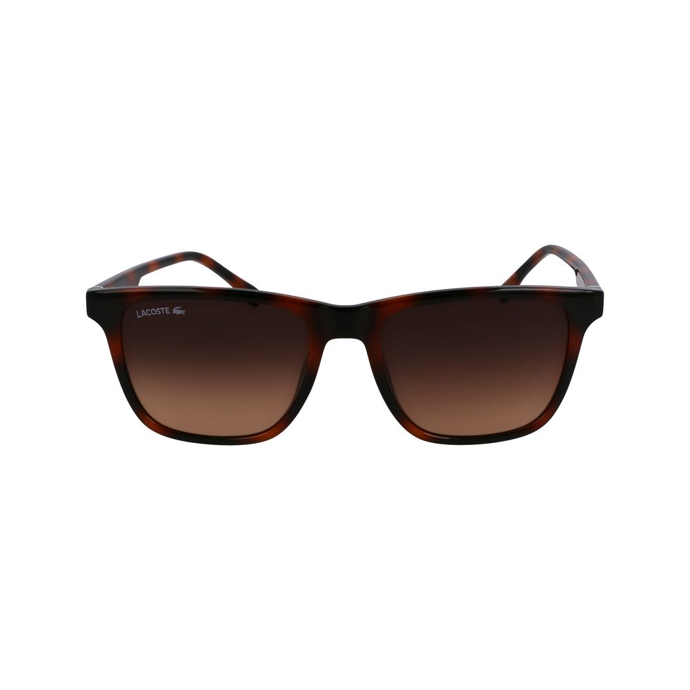 Lacoste Brown Injected Sunglasses - Image 2