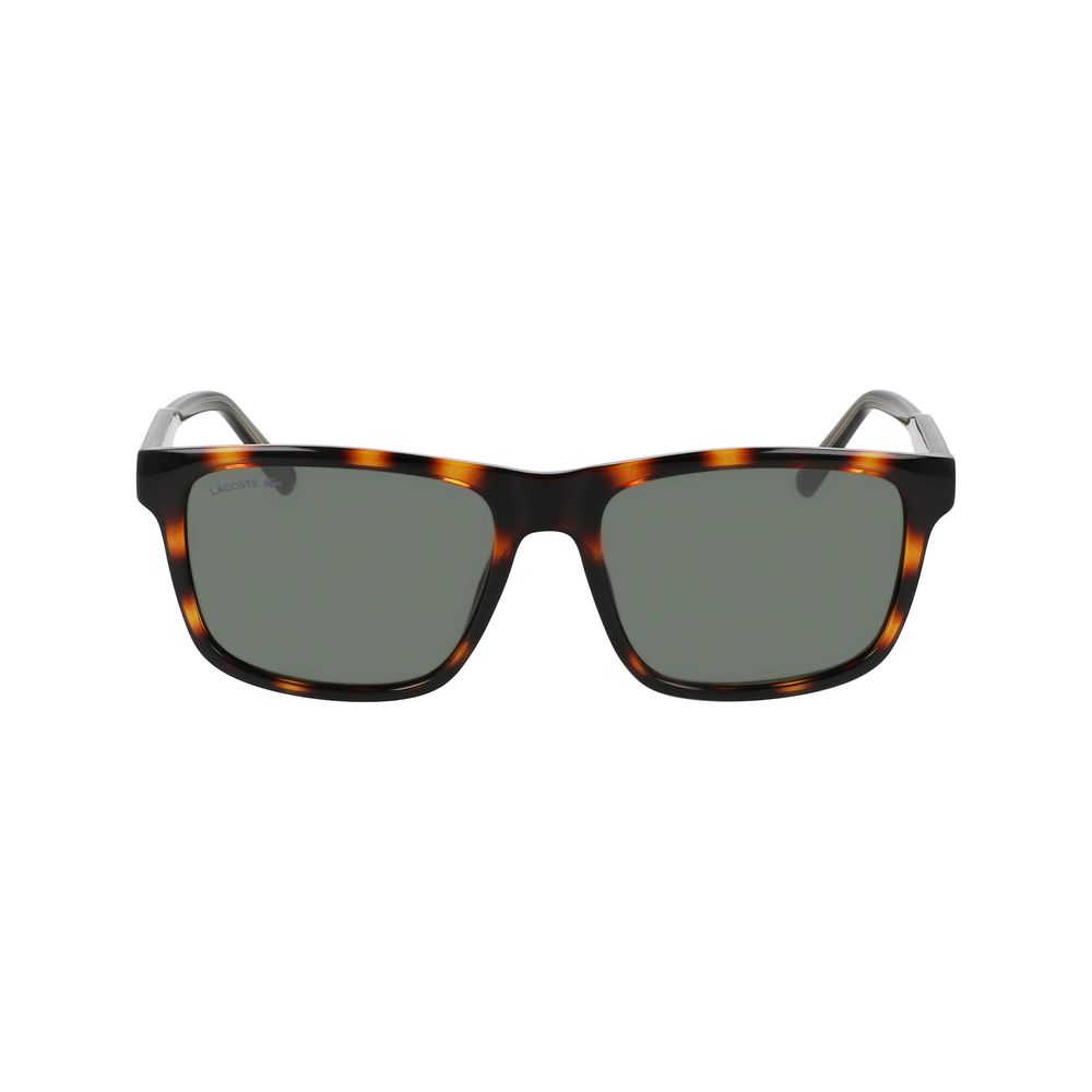Lacoste Brown Injected Sunglasses - Image 2