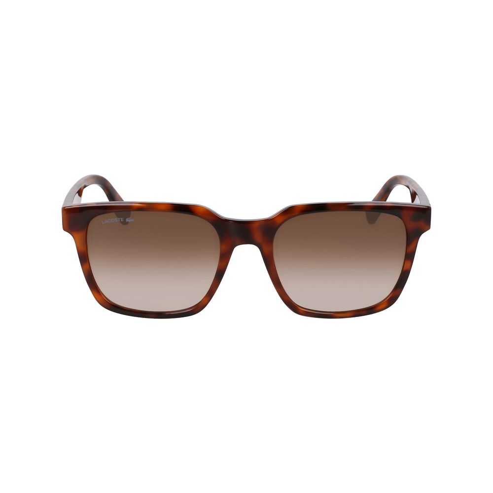 Lacoste Brown Injected Sunglasses - Image 2