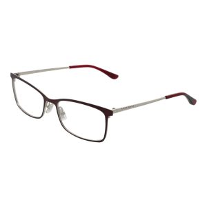 Hugo Boss Burgundy Stainless Steel Glasses (Frames)