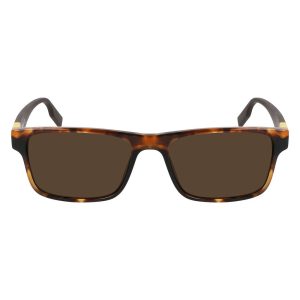Converse Brown Acetate Sunglasses