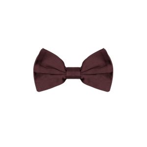 Dolce & Gabbana Burgundy Silk Bowtie
