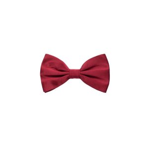 Dolce & Gabbana Red Silk Bowtie