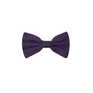 Dolce & Gabbana Purple Silk Bowtie