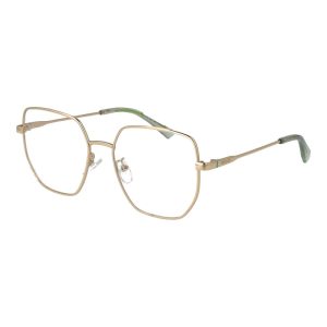 Polaroid Gold Metal Glasses (Frames)
