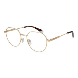 Polaroid Gold Metal Glasses (Frames)