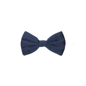 Dolce & Gabbana Blue Silk Bowtie