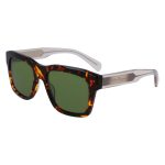 Ferragamo Brown Acetate Sunglasses
