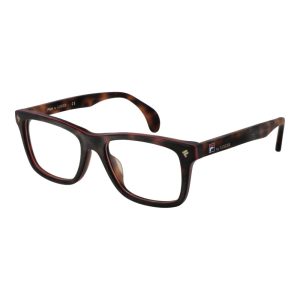 Lozza Brown Cellulose Acetate Glasses (Frames)