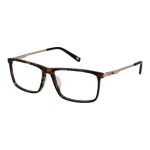 Fila Brown Cellulose Acetate Glasses (Frames)