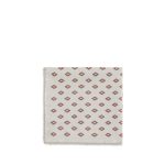 Brunello Cucinelli Multicolor Silk Scarf