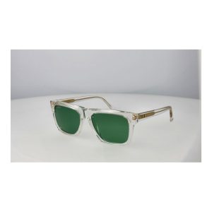 Web Transparent Acetate Sunglasses