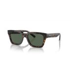 Arnette Brown Injected Sunglasses