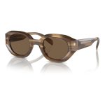 Emporio Armani Brown Acetate Sunglasses